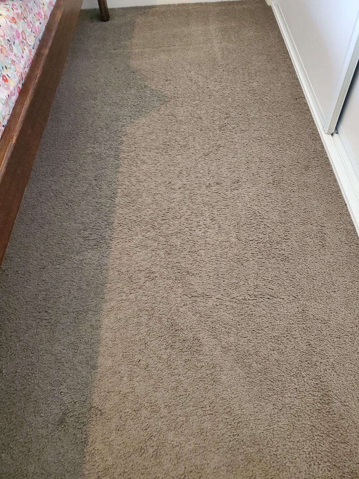 Detailed carpet cleaning for homes in Geelong